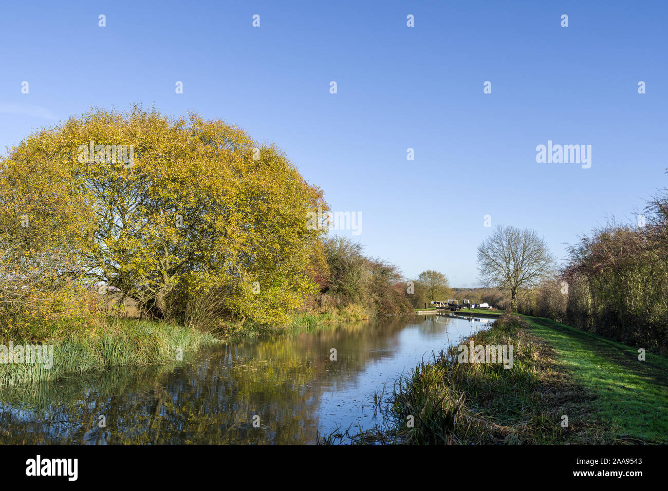 Autumn colour on the Grand Union Canal, Rothersthorpe, Northamptonshire, UK Stock Photo