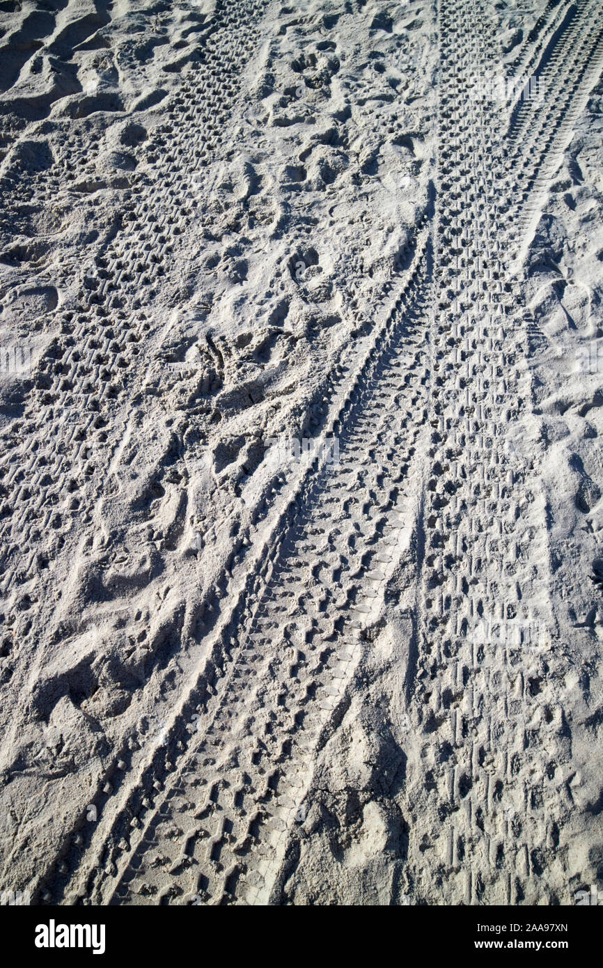 car and atv tire tracks in white northern florida sand on a beach florida usa Stock Photo