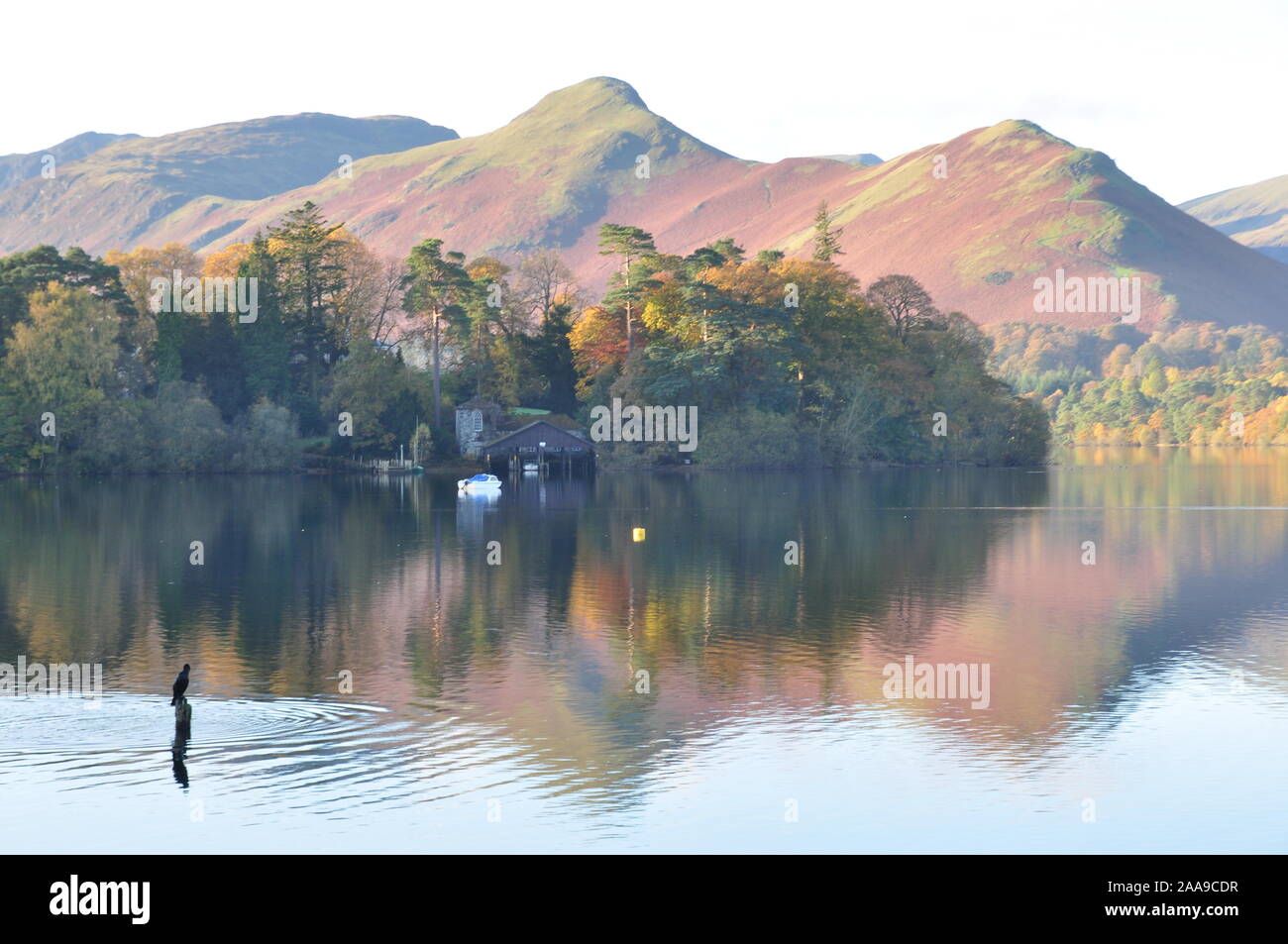 Boat house, Derwent Water, Cumbria Stock Photo Alamy