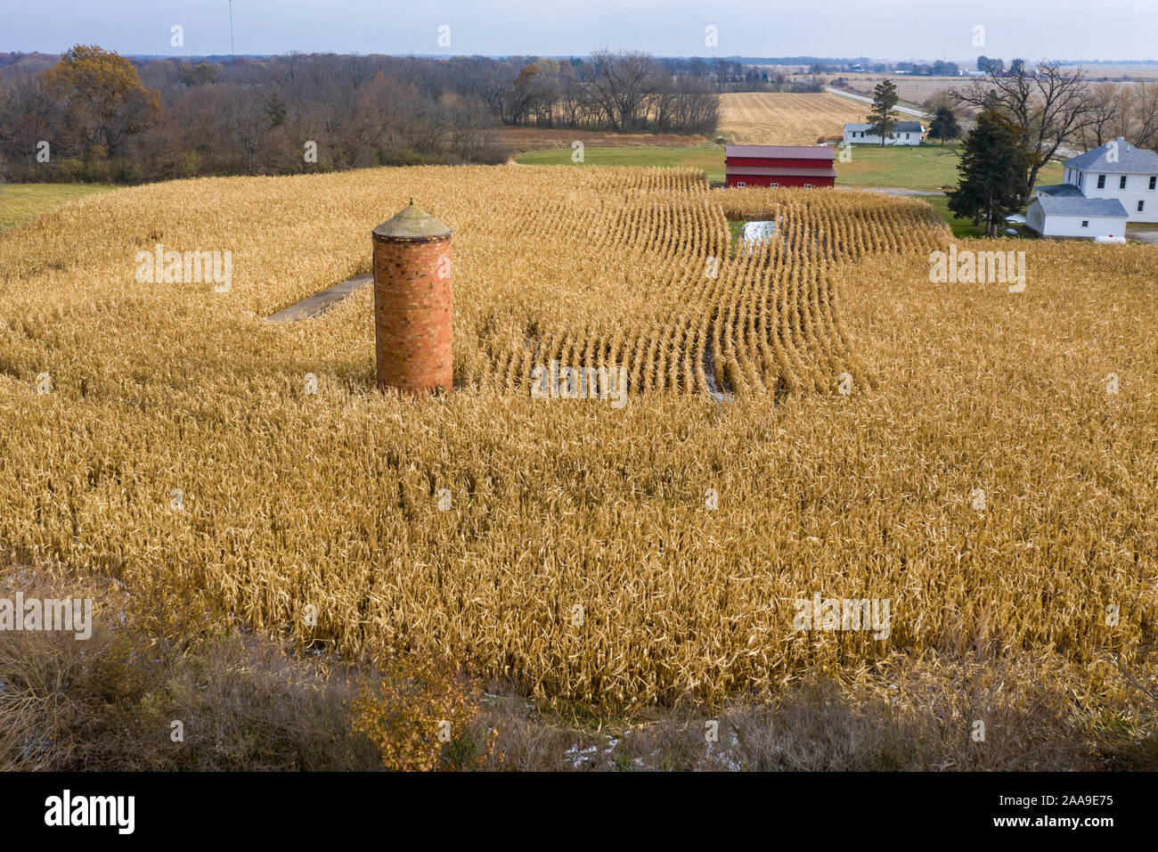 Illinois City, Illinois - An old brick silo stands in the middle of a corn field. Stock Photo