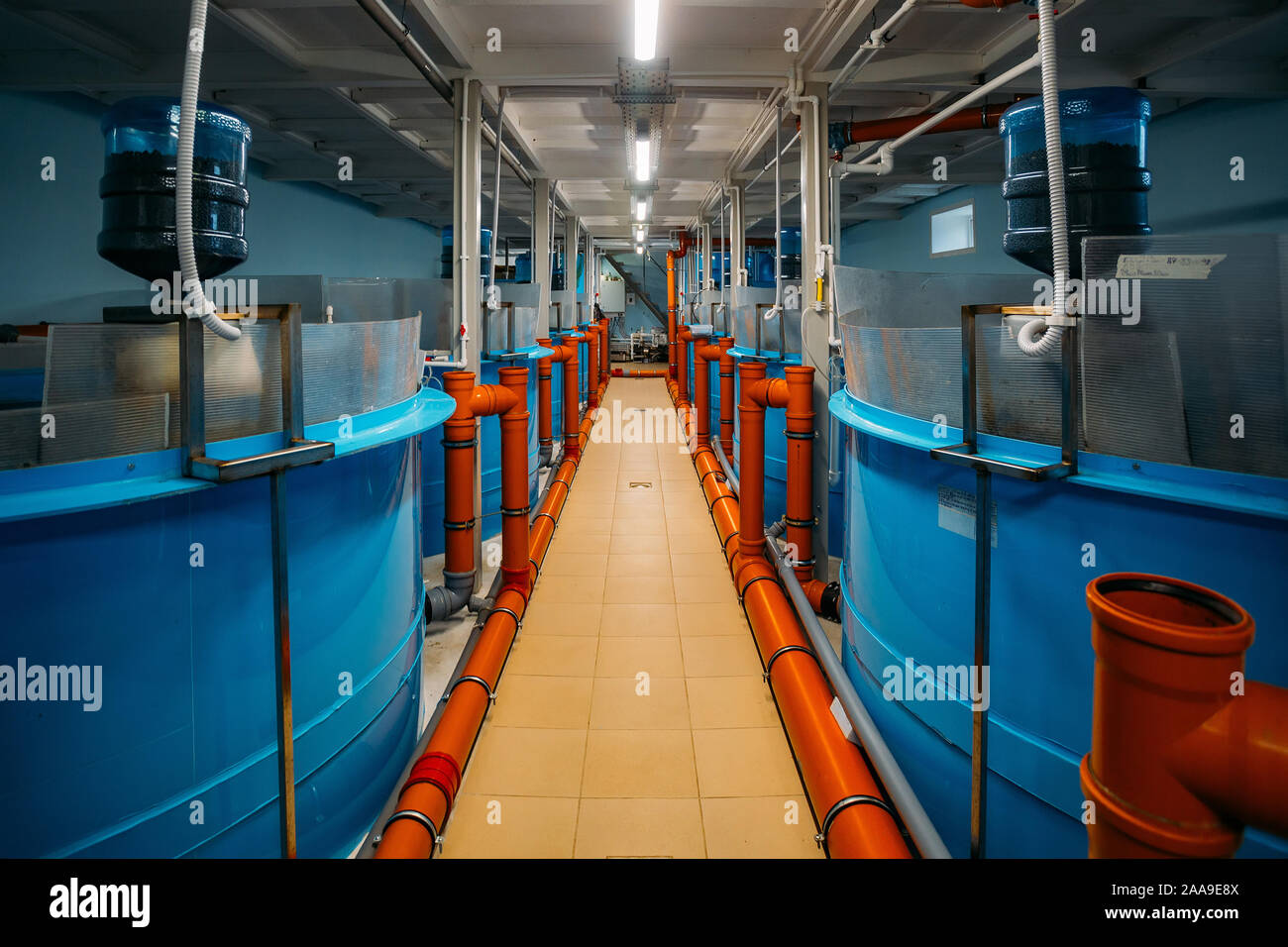 automatic feeder for fish farm