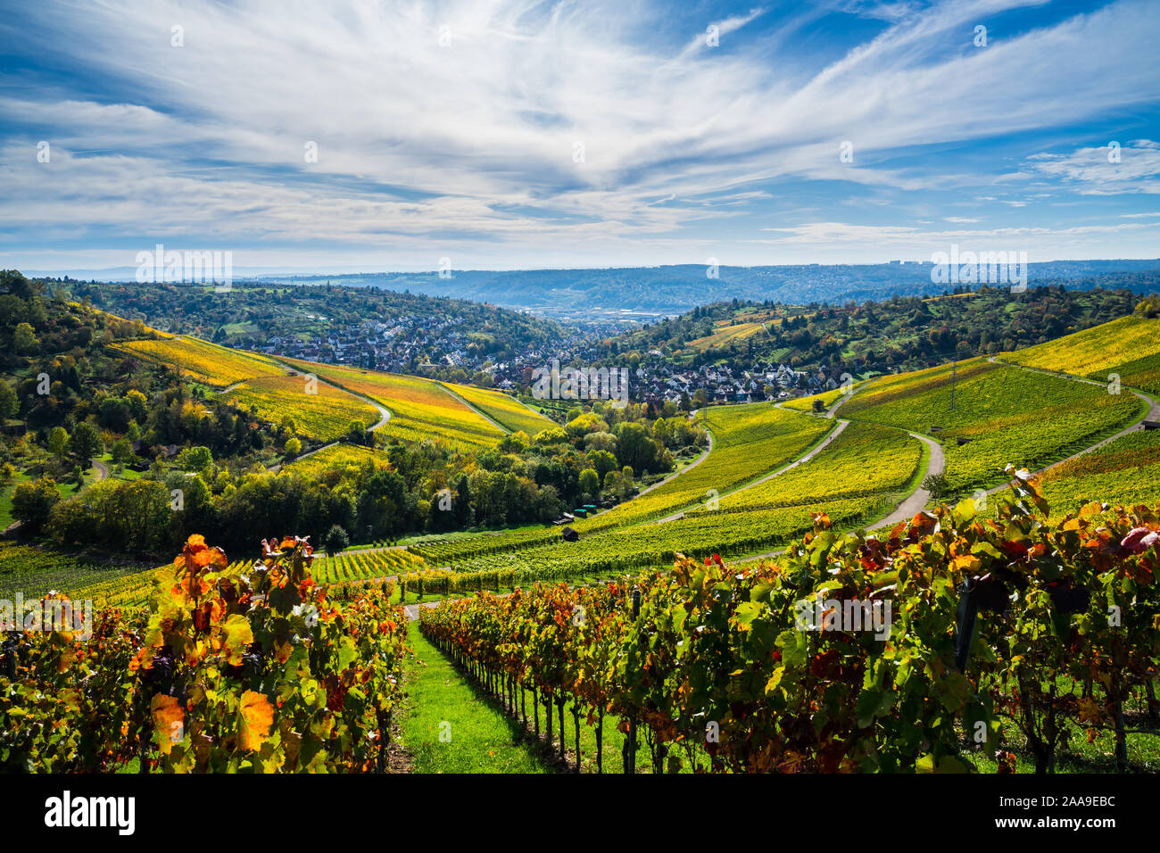 Germany, Autumn mood in vineyard nature landscape in warm evening ...