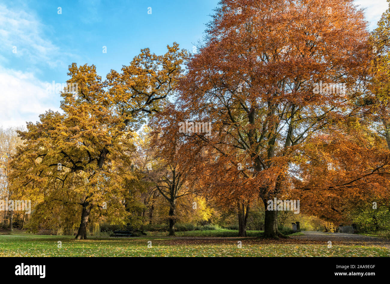 together in the autumn of life Stock Photo