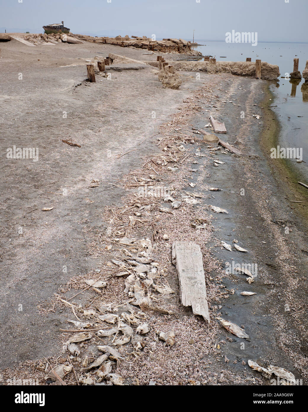 Dereliction and pollution at Bombay Beach and Saltern Sea, California