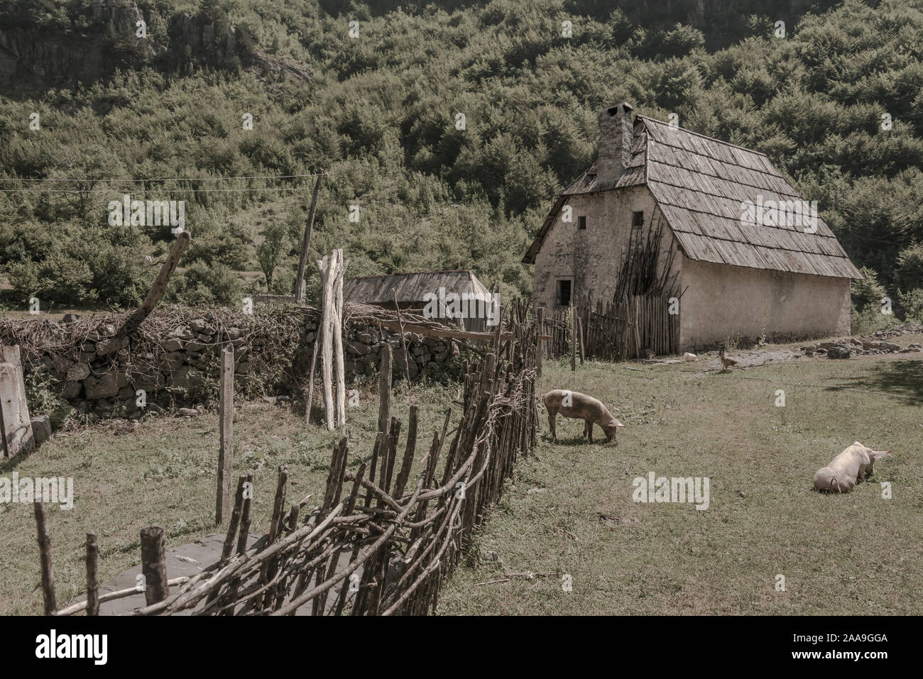 Rural scene, Thethi, Albania Stock Photo