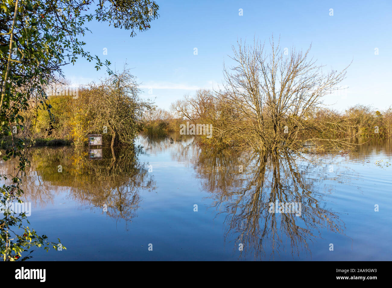The River Severn flooded at Coombe Hill Canal and Meadows Nature Reserve, south of Tewkesbury, Gloucestershire UK on 18/11/2019 Stock Photo