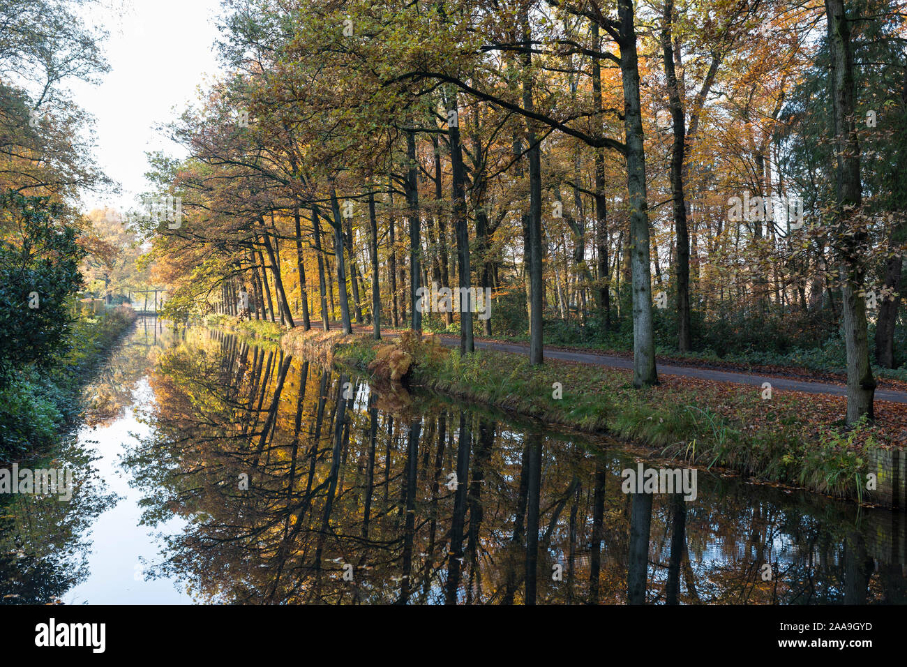 Trees in autumn reflecting in the water of a canal at Herbertusbossen in Heeze, Netherlands Stock Photo