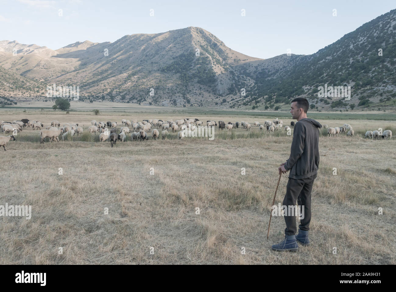 Shepherd, Albania Stock Photo