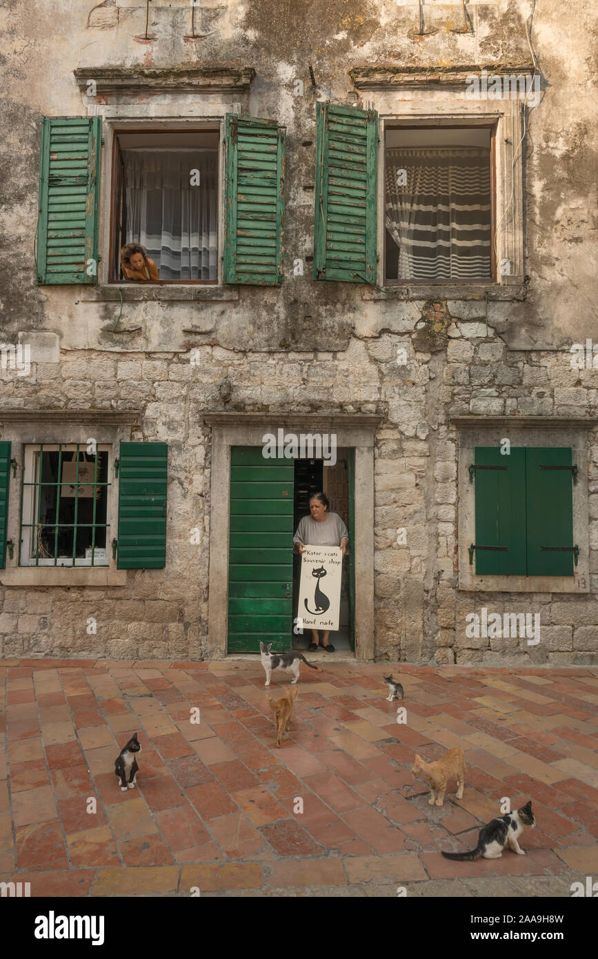 Cat museum, Kotor, Montenegro Stock Photo