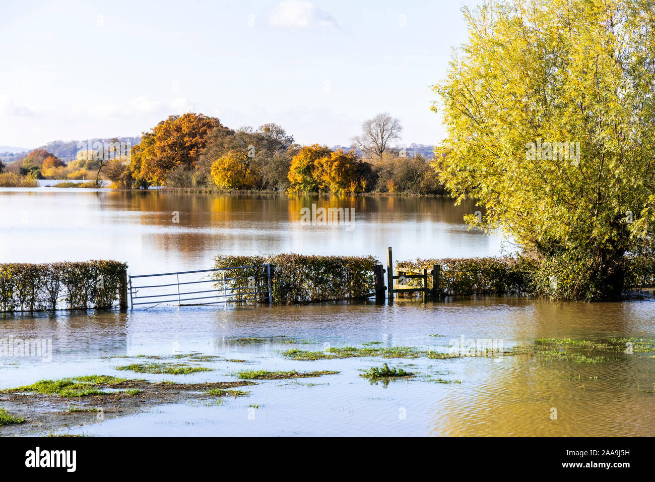 Floodwater from the River Severn filling the fields around the Severn Vale village of Deerhurst, Gloucestershire UK on 18/11/2019 Stock Photo