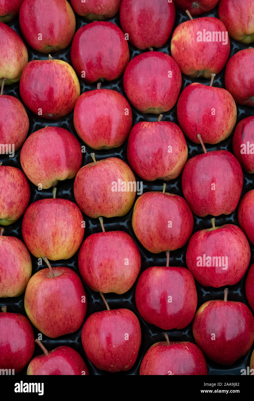 Red apples in autumn on display Stock Photo