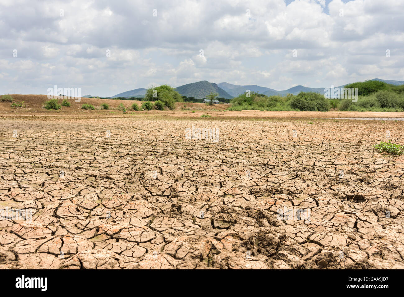 A dried up lake bed due to lack of rain with trees and hills in background, Kajiado County, Kenya Stock Photo