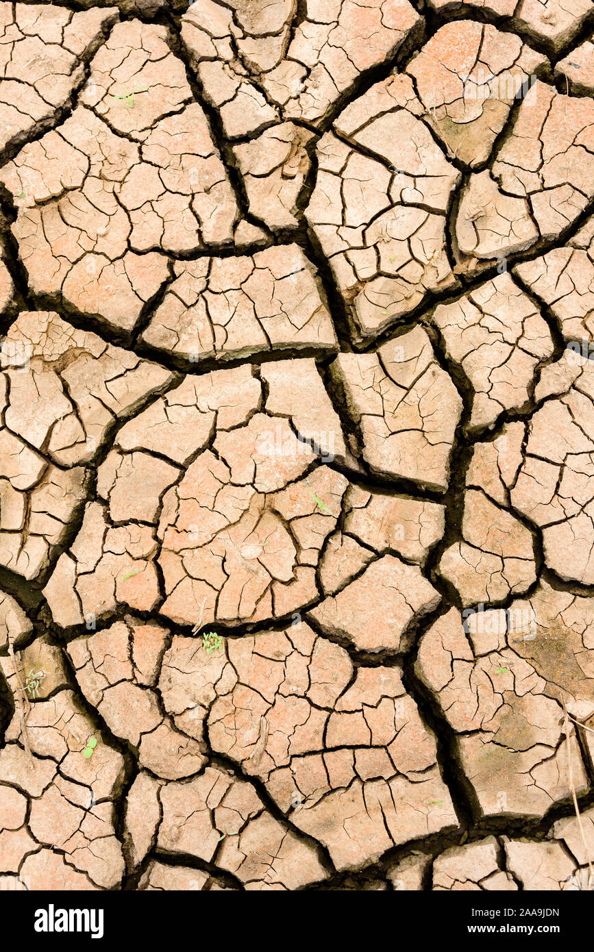 Dried up lake bed due to lack of rain showing dry cracked earth, Kenya, East Africa Stock Photo