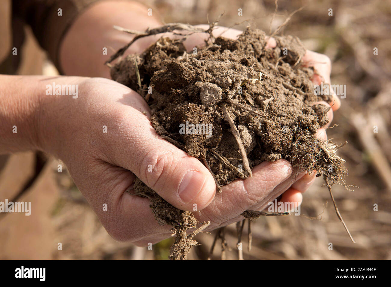 scientists have developed a testing process that accurately measures naturally occurring nitrogen and other nutrients in soil. Stock Photo