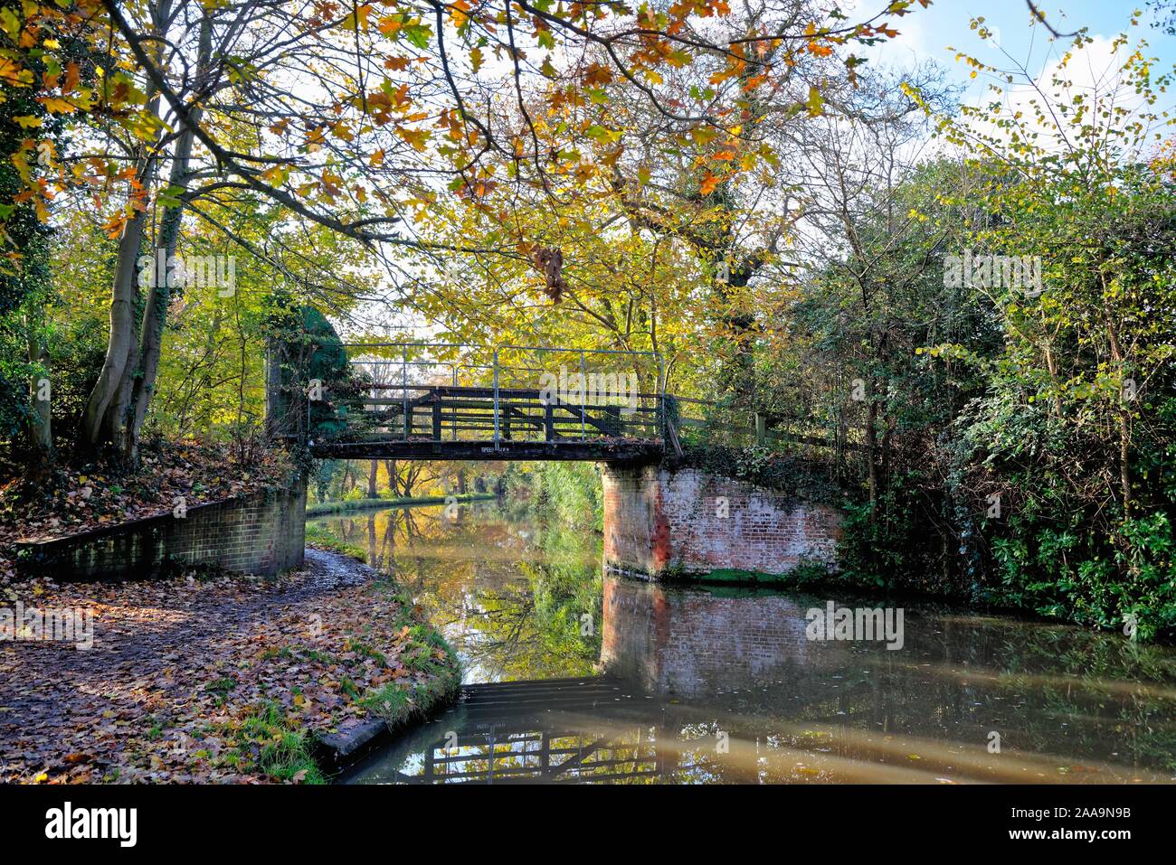 A colourful autumnal scene on the River Wey navigation canal Byfleet Surrey England UK Stock Photo