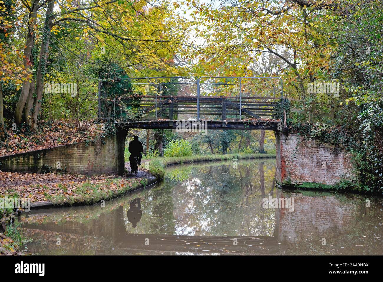 A colourful autumnal scene on the River Wey navigation canal Byfleet Surrey England UK Stock Photo