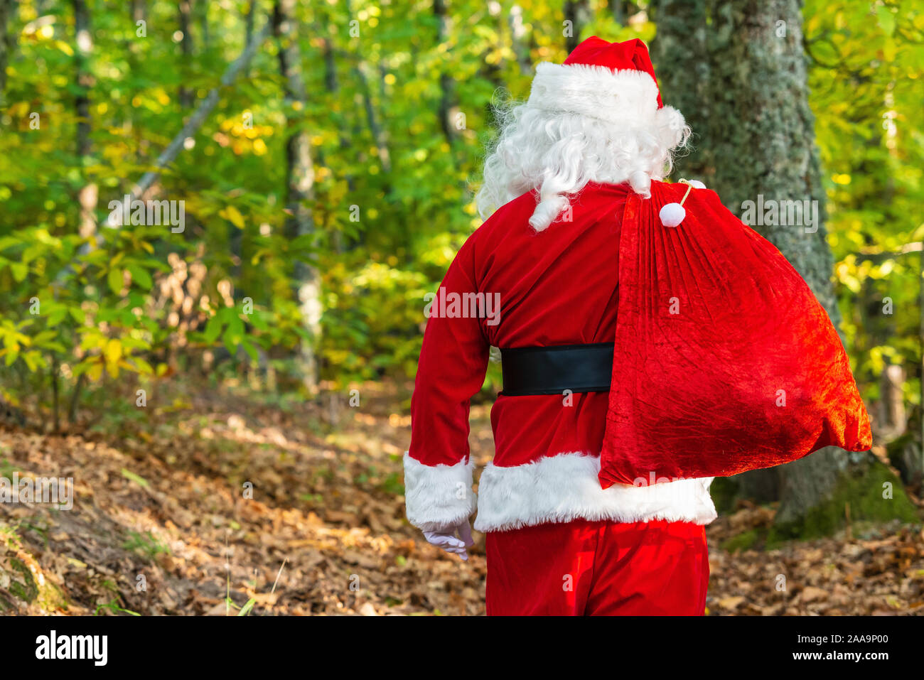 Santa Claus with red bag  in forest with copy space Stock Photo