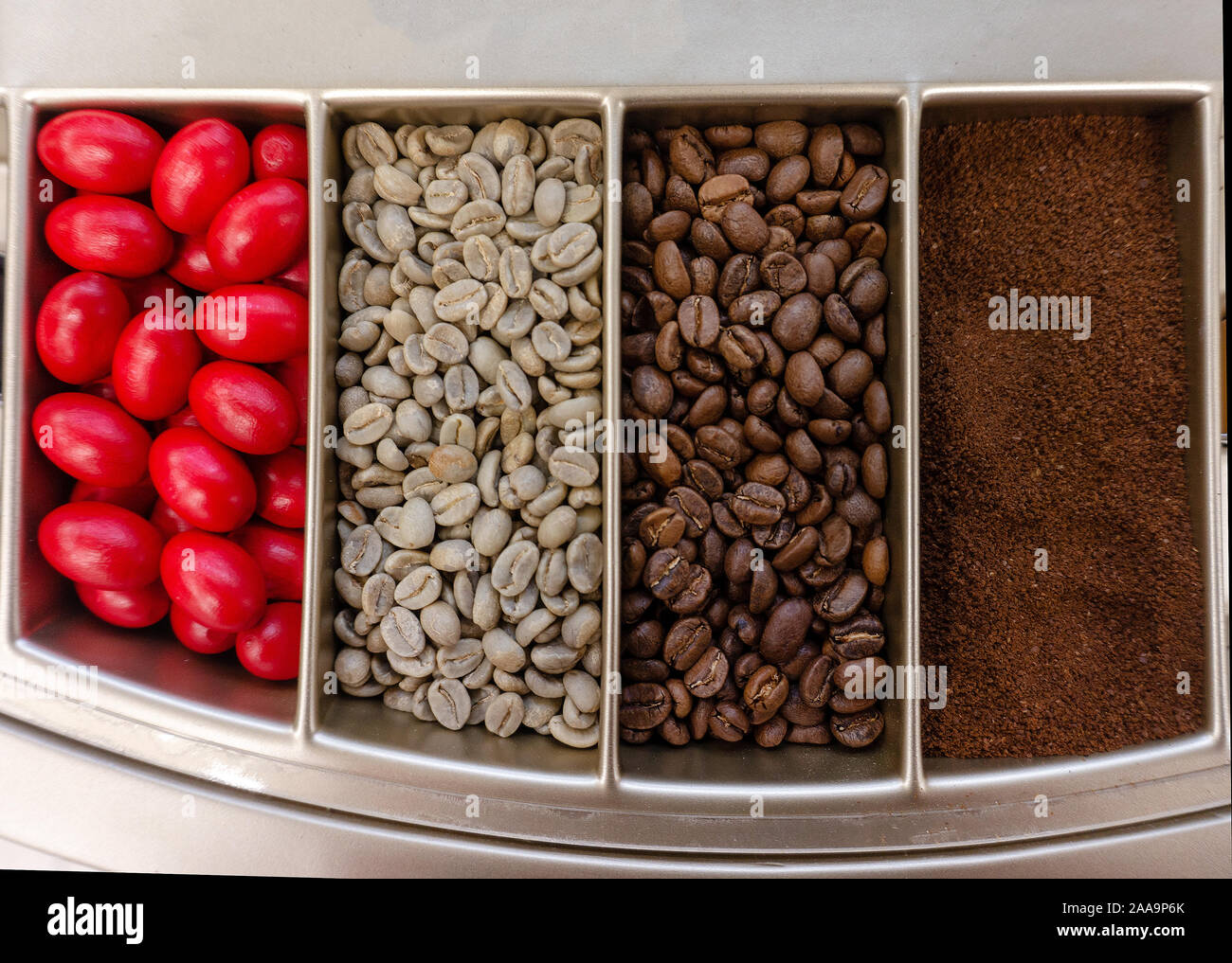 coffee fruit, raw green beans, roasted coffee beans and ground coffee Stock Photo