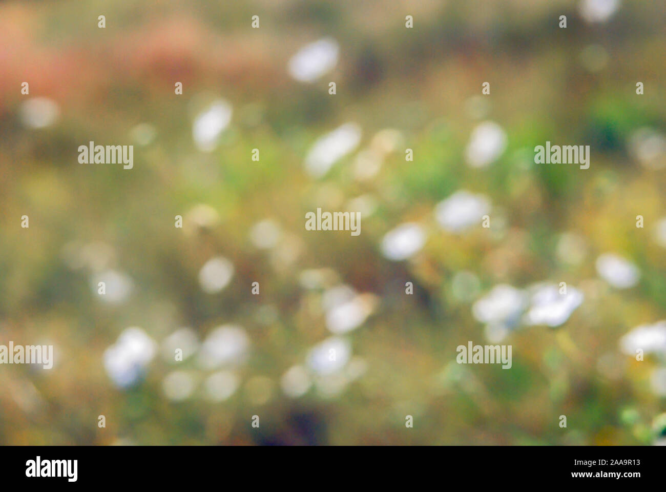 Spring Desktop Wallpaper Pusat Hobi