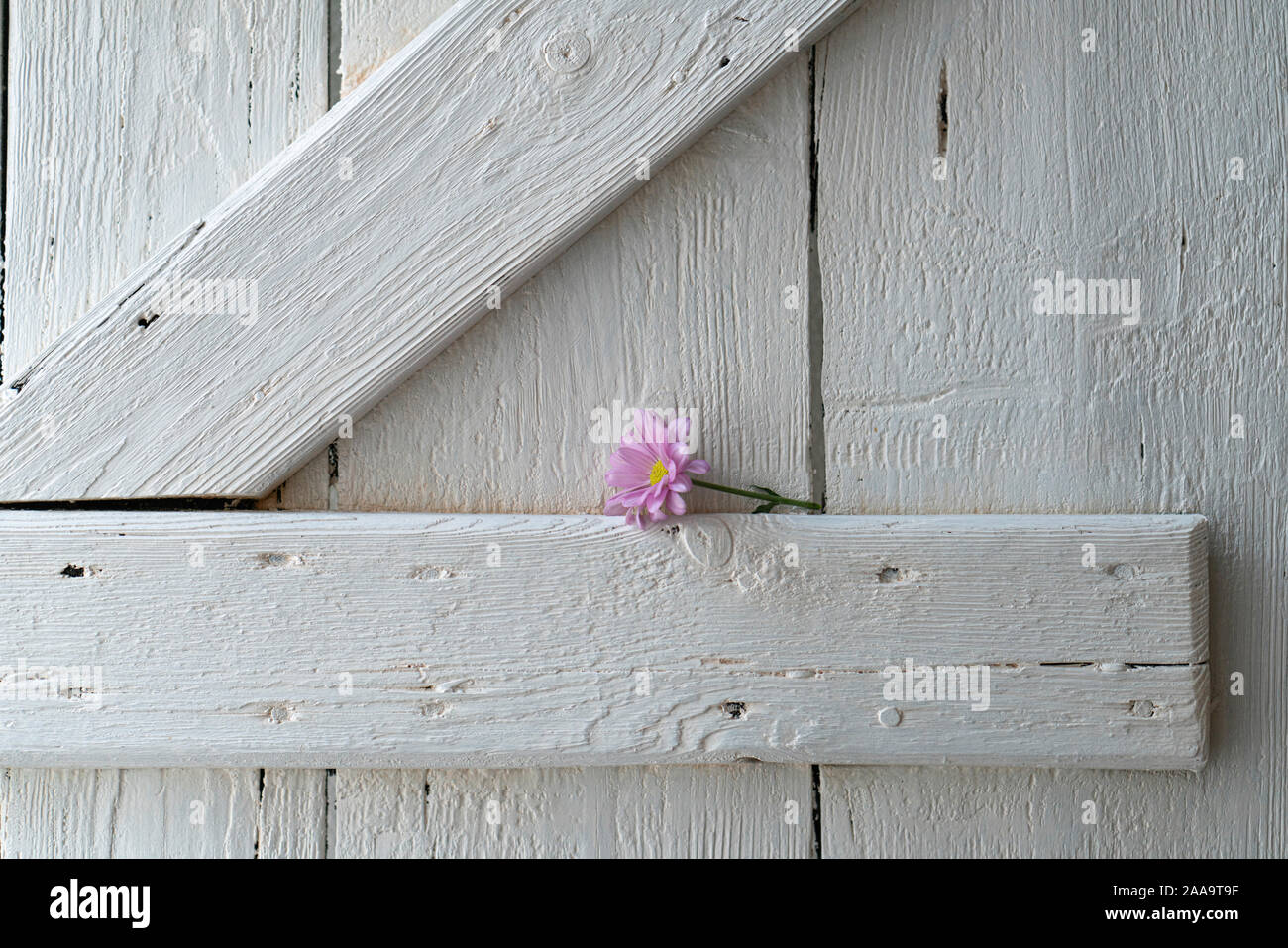 Beautiful wooden element with pink summer flower Stock Photo