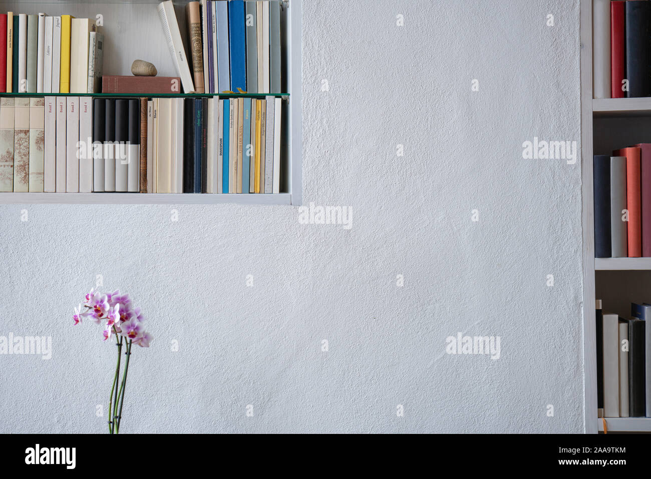 Details of bookshelves in a white wall, beautiful orchid Stock Photo