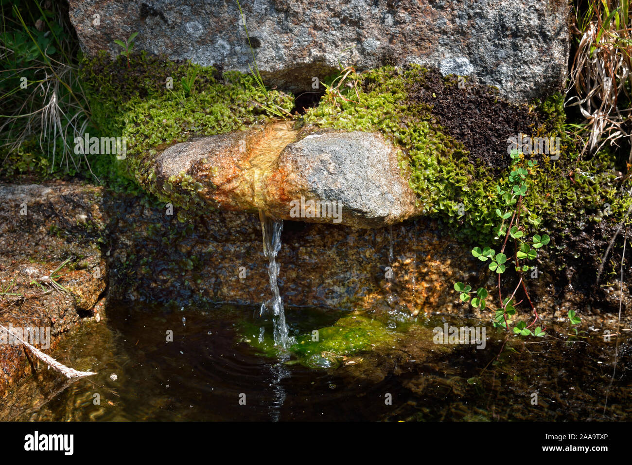 A natural water spring, the Fonte Pingadeiras do Croto (885m). Tourem, Peneda Geres National Park. Portugal Stock Photo
