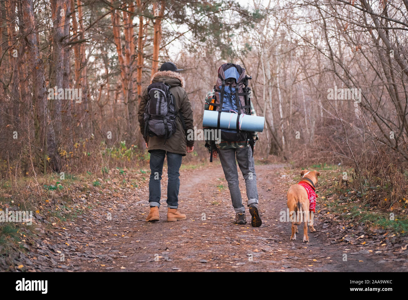 Active rest outdoors: two people with  their dog hiking in the forest. Getting away from the city and technology concept: backpackers and a dog enjoy Stock Photo