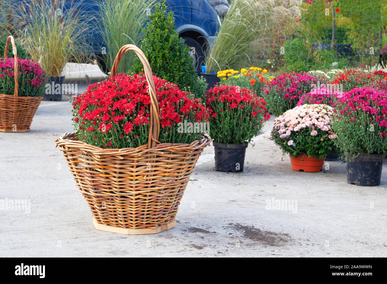 Gardening Store High Resolution Stock Photography And Images Alamy