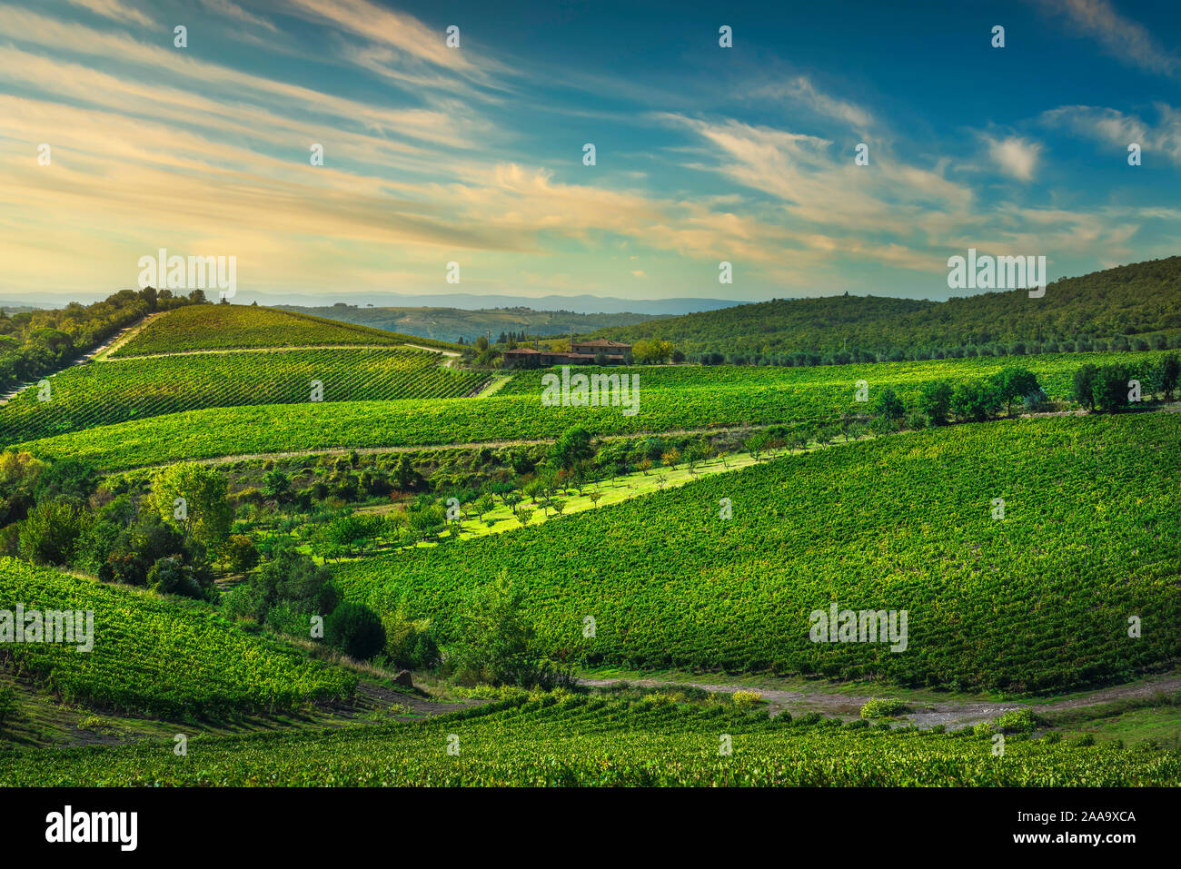 Gaiole in Chianti vineyard and panorama at sunset in autumn. Tuscany, Italy Europe. Stock Photo
