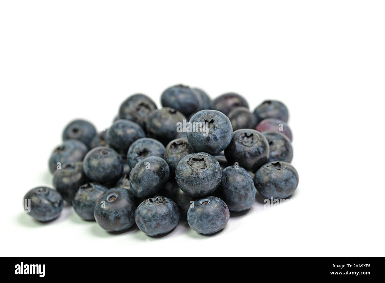 Blueberries in front of white background Stock Photo