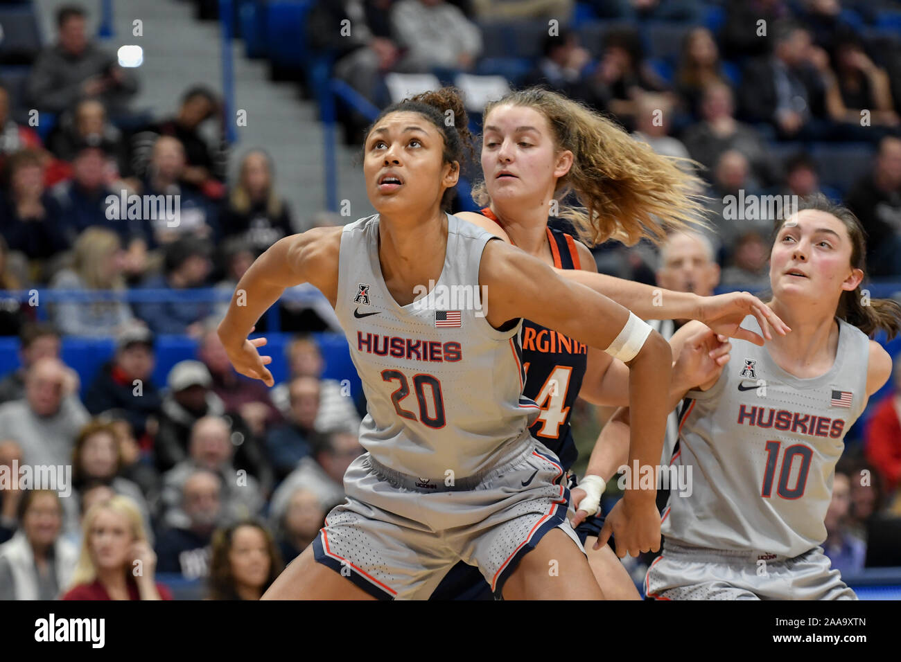 Xl center hartford inside hi-res stock photography and images - Alamy