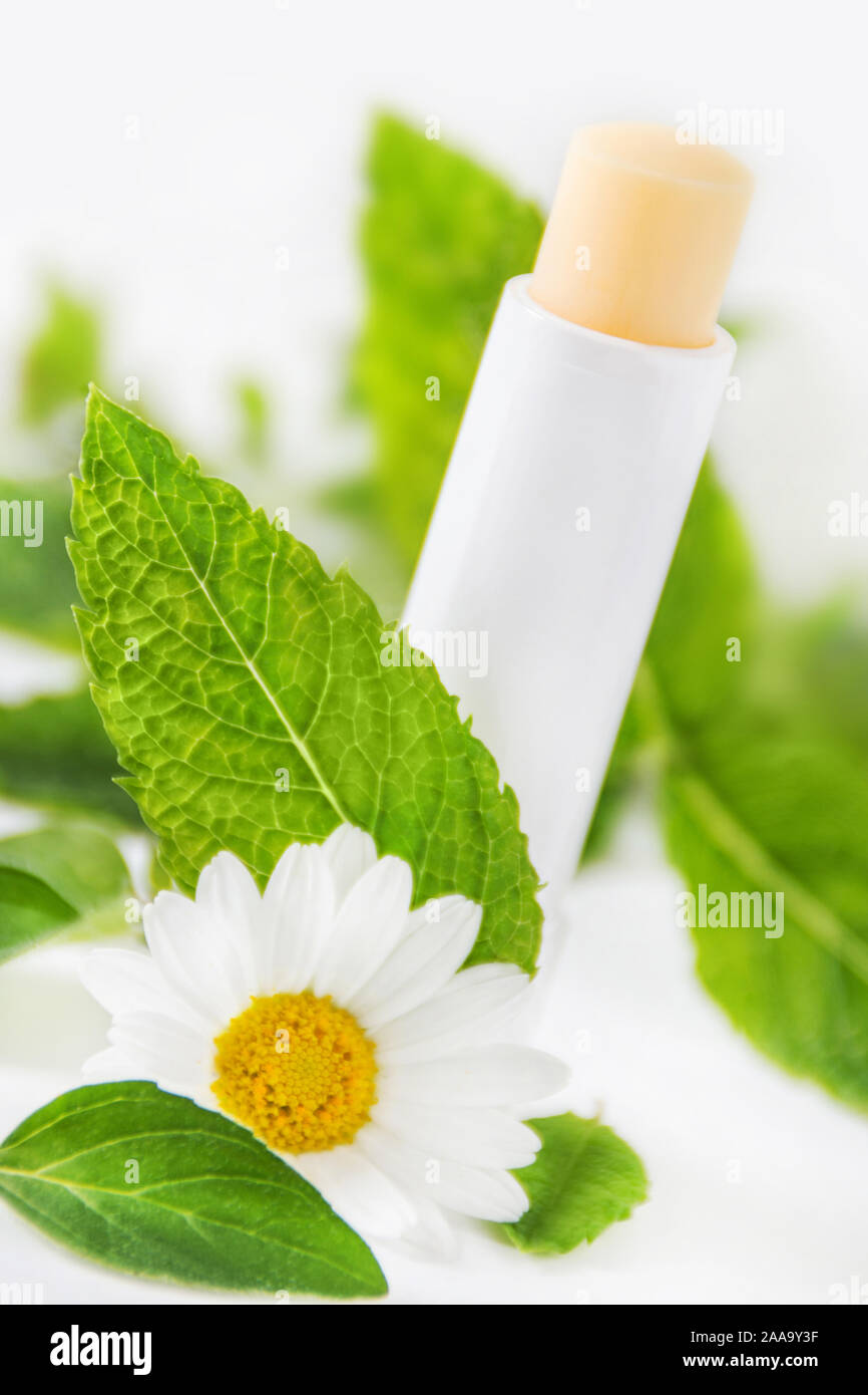 Herbal lip care stick and herbs Stock Photo