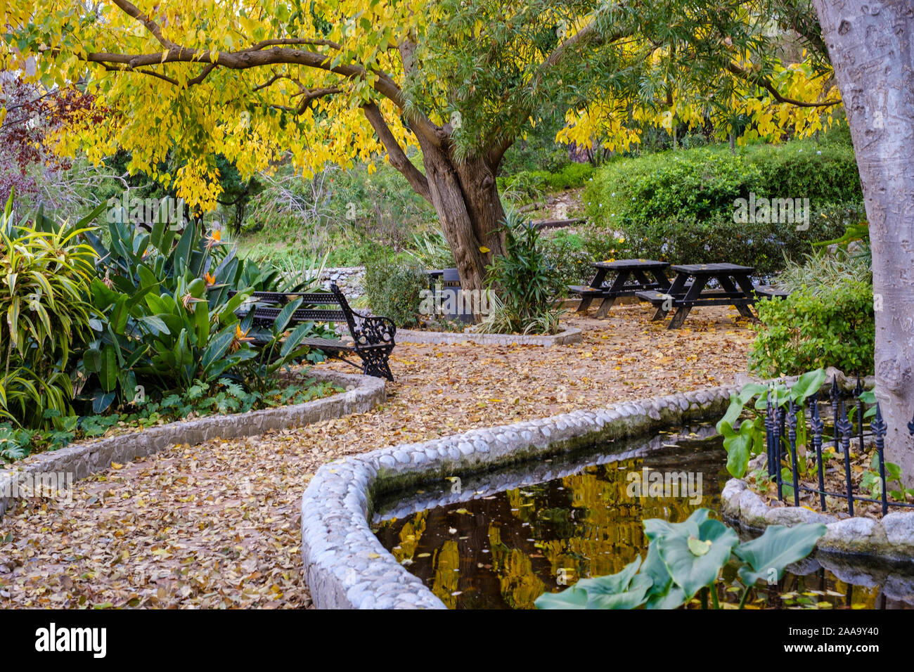 The Gibraltar Botanic Gardens or La Alameda Gardens are a botanical garden in Gibraltar, spanning around 6 hectares. Stock Photo