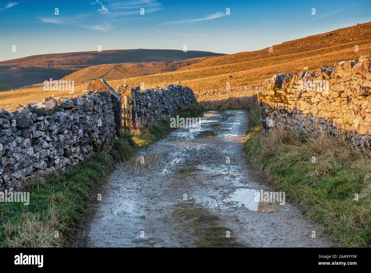 Ingleborough is the second-highest mountain in the Yorkshire Dales. It is one of the Yorkshire Three Peaks, Stock Photo