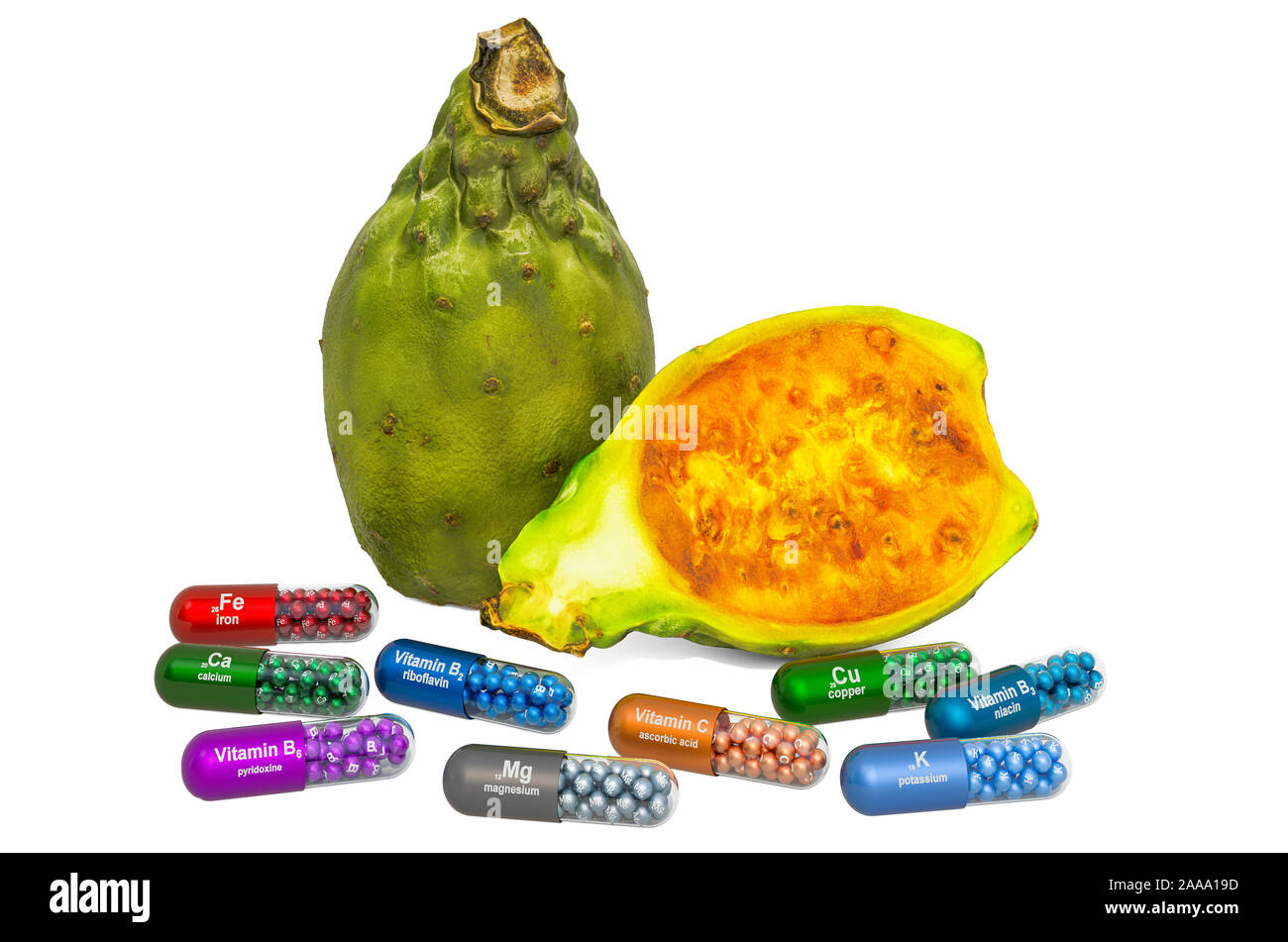 Vitamins and minerals of opuntia cactus, 3D rendering isolated on white