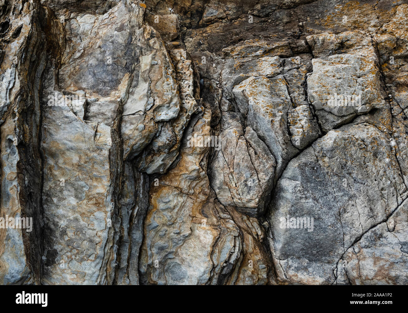 The contact between the Leinster Granite and contact metamorphosed schist on White Rock Beach, Killiney, Dublin, Ireland Stock Photo