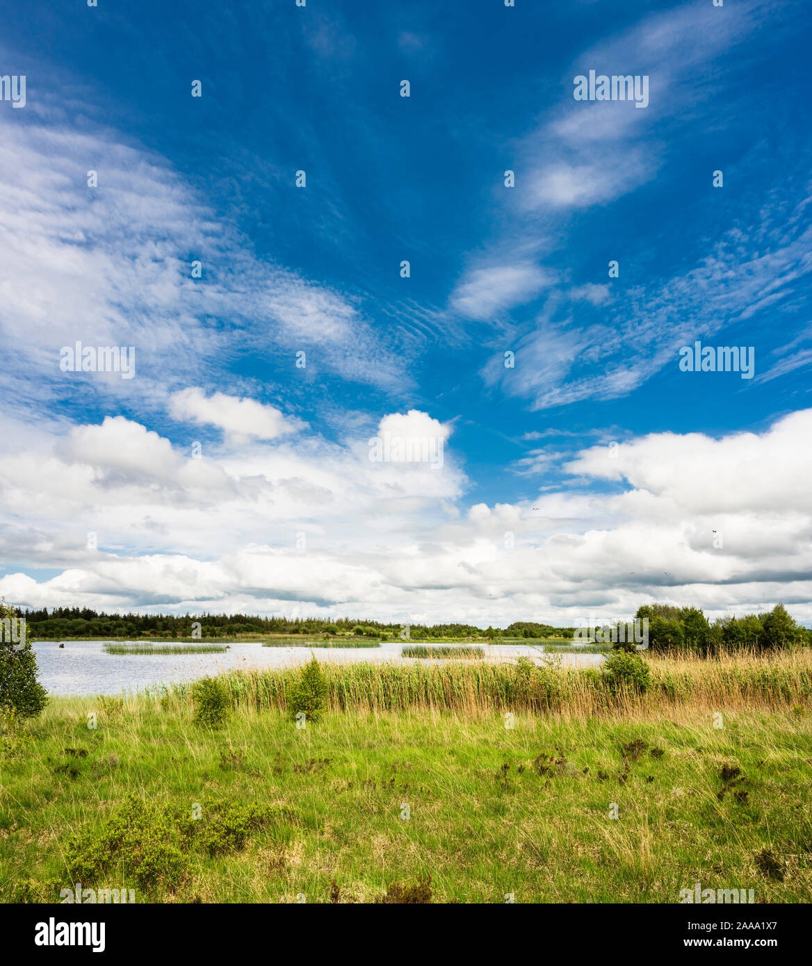 Wetland lake at Lough Boora, County Offaly, Ireland Stock Photo