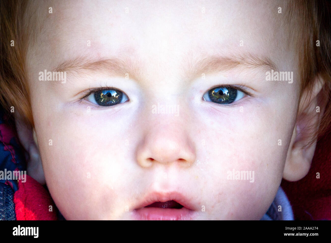 Staring Toddler High Resolution Stock Photography and Images Alamy