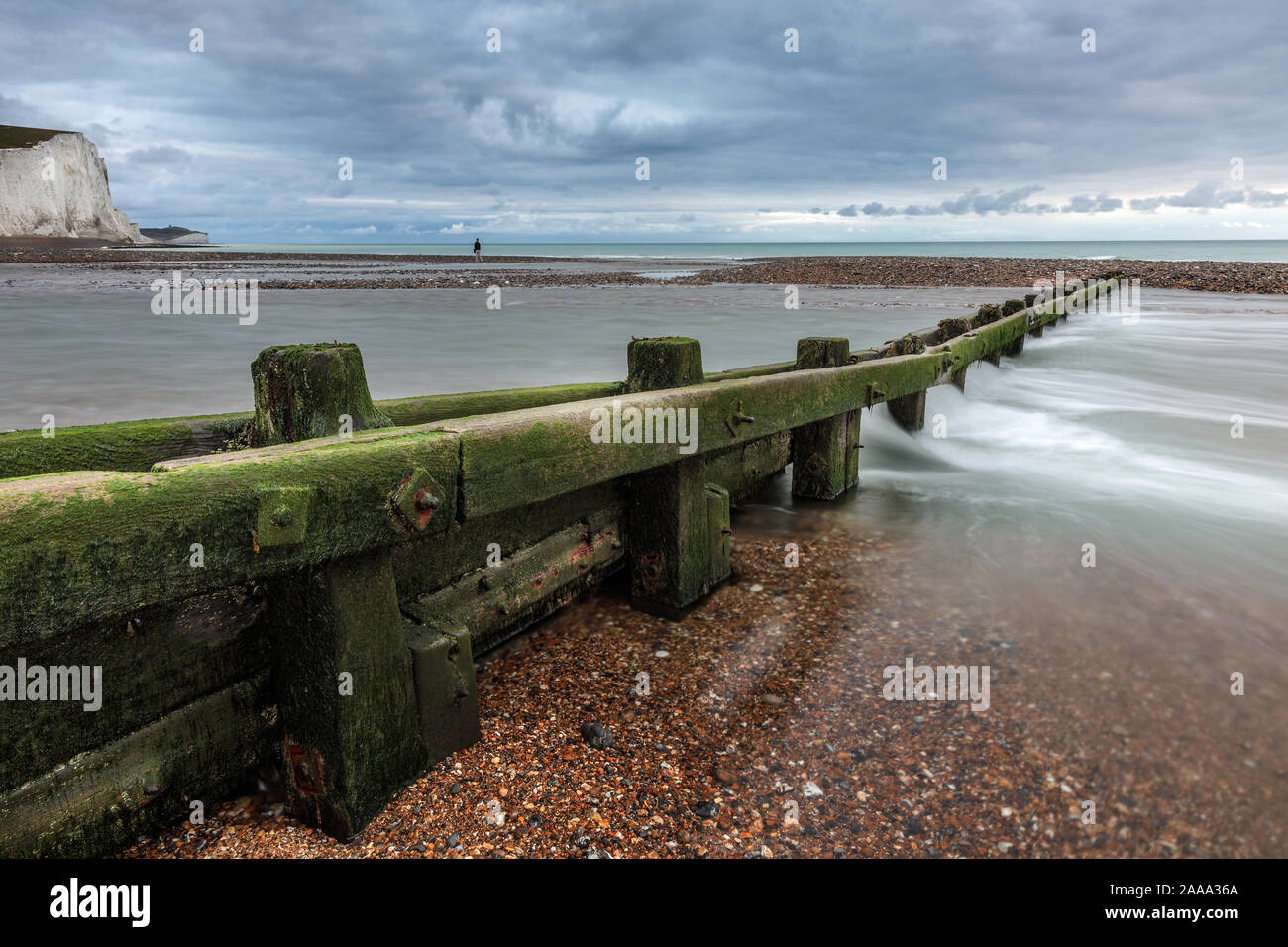 Wooden beach groyne, covered in green seaweed extending into the sea, lone figure in distance, at Cuckmere Haven, Seaford, East Sussex, England, UK Stock Photo