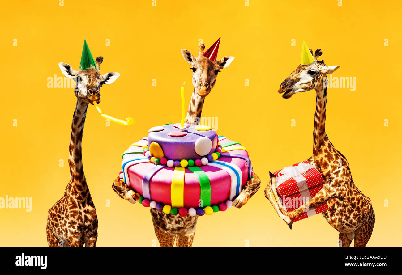 Растяжка Жираф с днем рождения