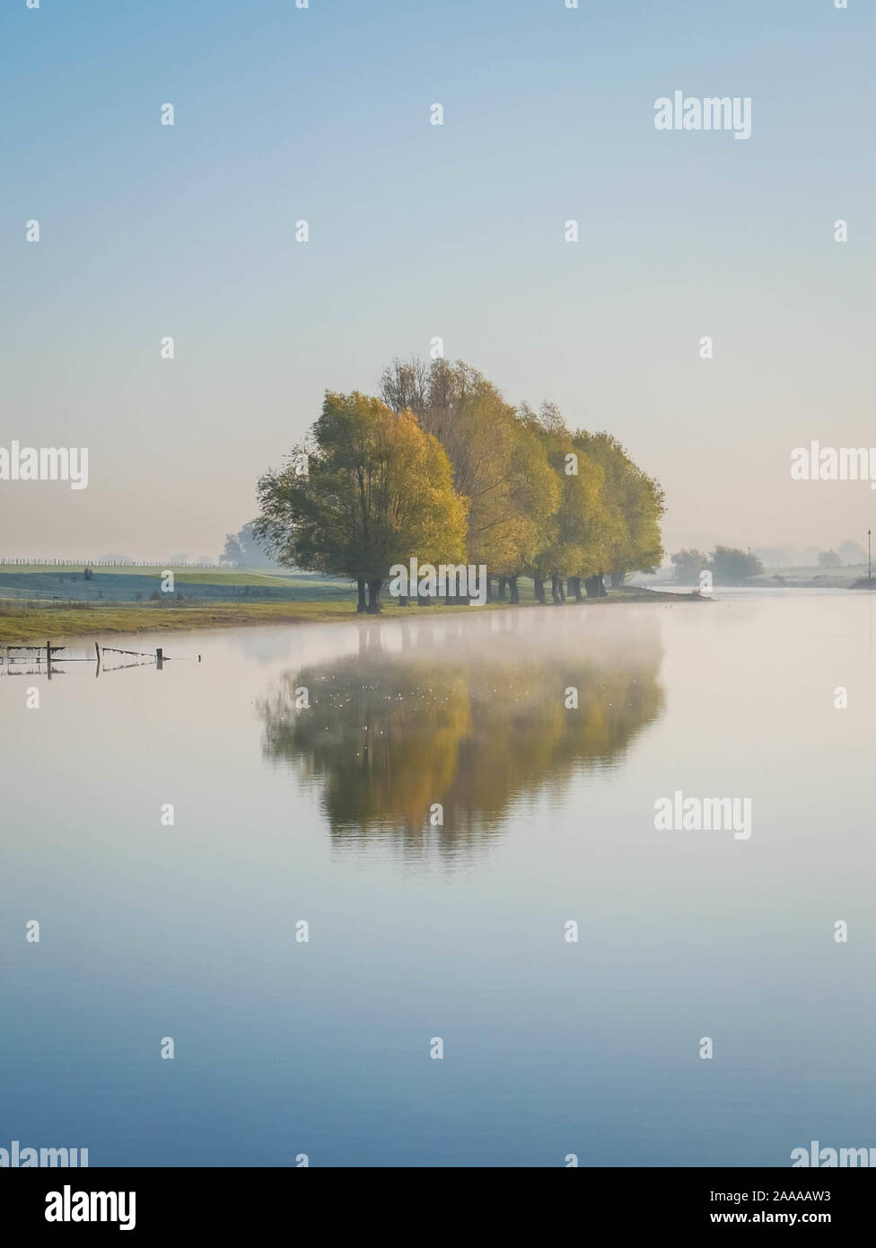 Group of colorful trees with reflection on mirror-like water Stock Photo