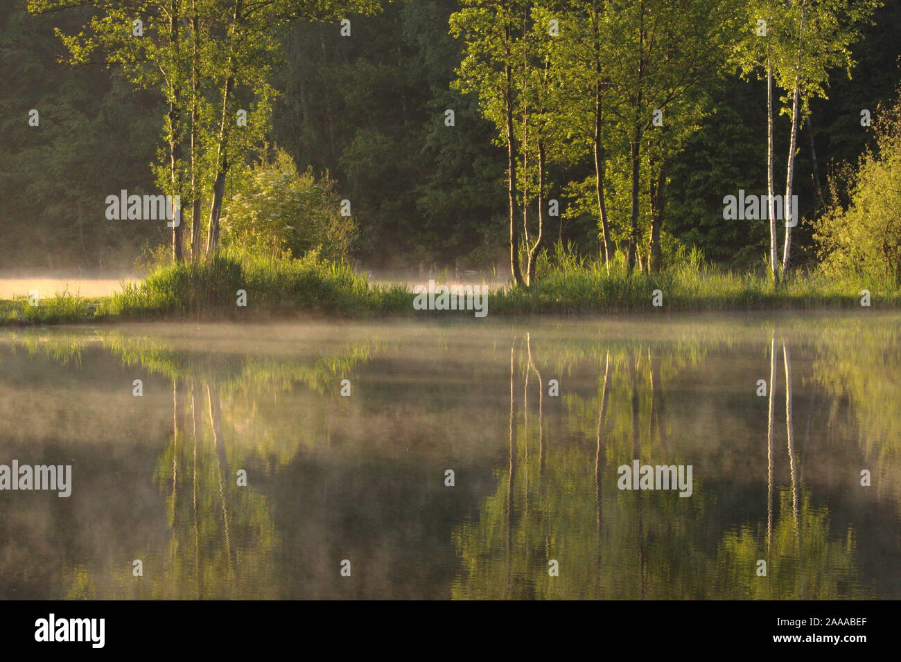 Spiegelung auf eiinem Gewässer am Niederrhein Stock Photo