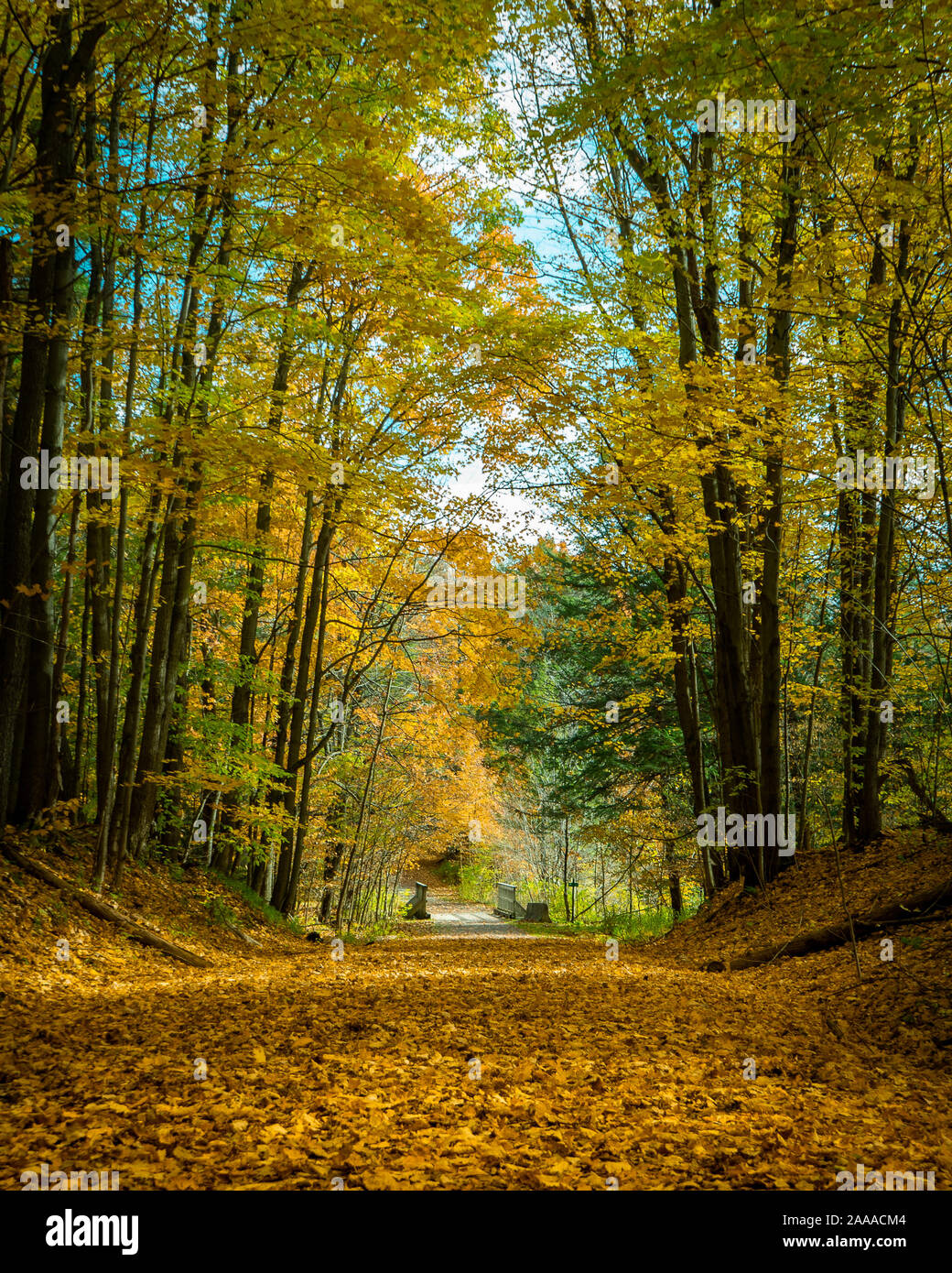 Fort drum hires stock photography and images Alamy