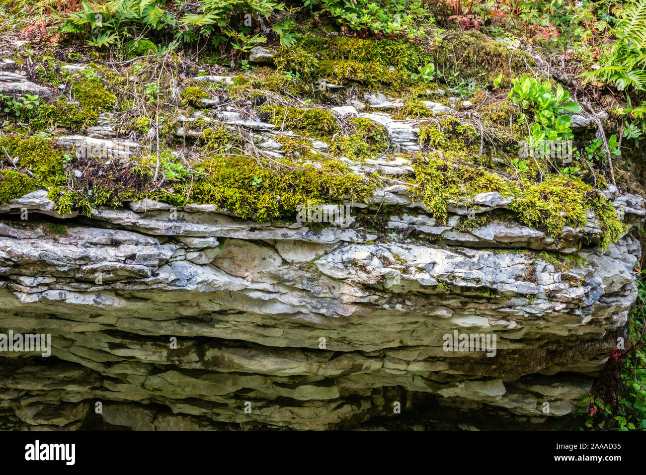 Rock of layered stone overgrown with grass and moss. The texture of ...