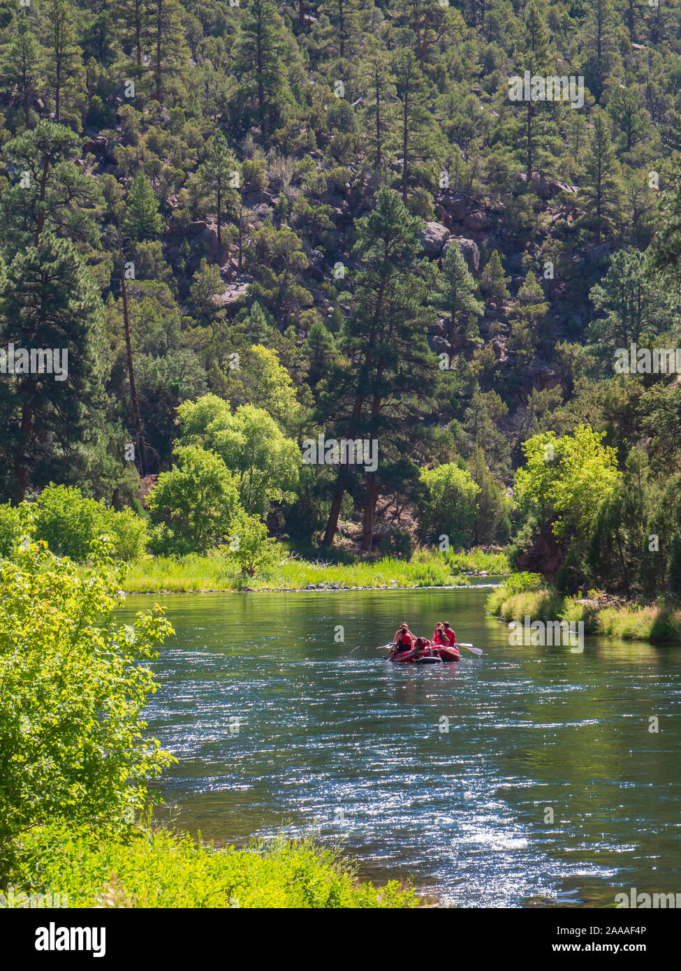 A family floats the Green River, Little Hole Trail, Ashley National Forest, Flaming Gorge National Recreation Area near Dutch John, Utah. Stock Photo