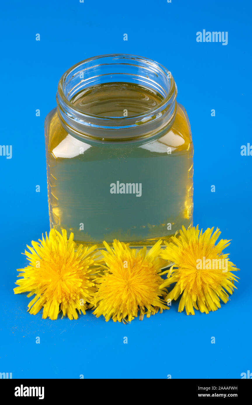 Dandelion honey and blossom / (Taraxacum officinale) | Loewenzahn Honig ...