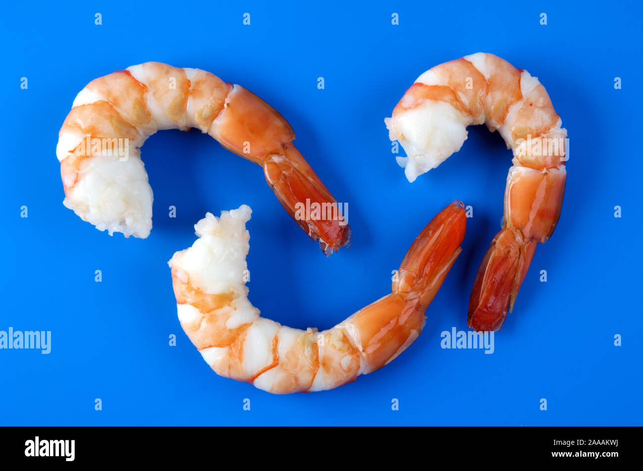 King prawn, shrimp, prawn / (Natantia)