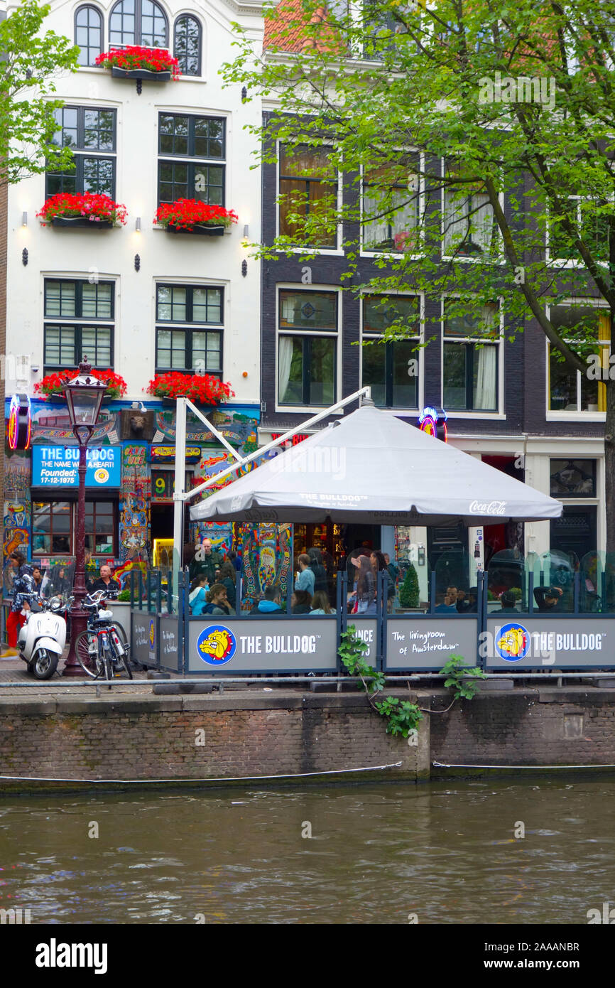 The Bulldog coffee shop Amsterdam, Netherlands Stock Photo - Alamy