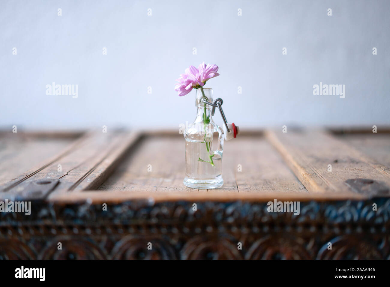 Beautiful pink aster in a small glass vase decorated on a shabby rustic wooden cabinet in front of a white wall Stock Photo