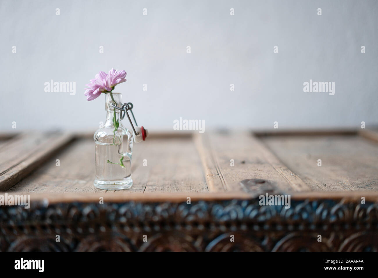 Beautiful Pink Aster In A Small Glass Vase Decorated On A Shabby